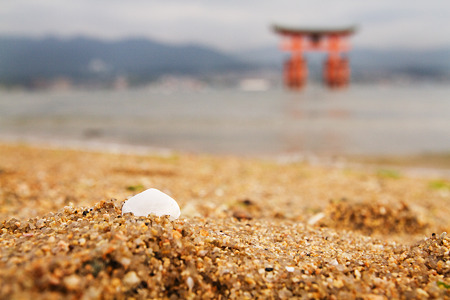 浜と鳥居