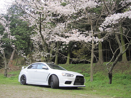 エボの花見