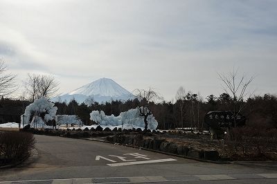 野鳥の森公園1