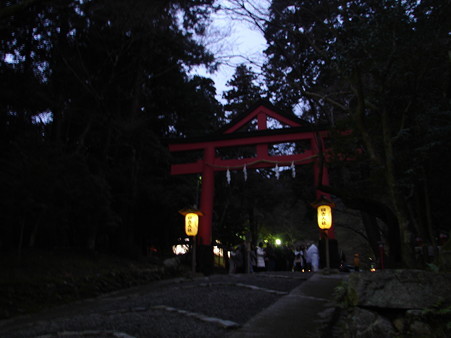 DSC06348
