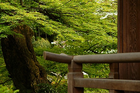 庭景