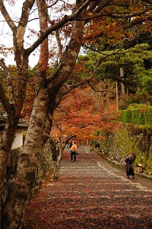 0911181034_DSC_0756