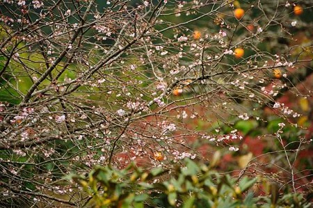 0911181043_DSC_0809
