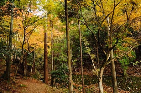 0911181217_DSC_1172