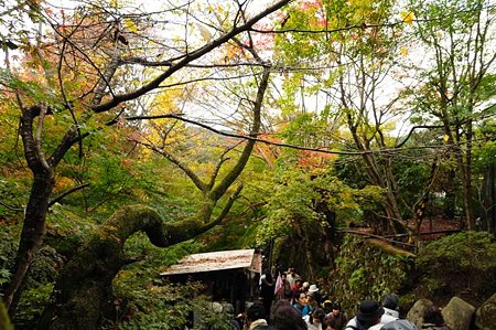 0911181243_DSC_1222