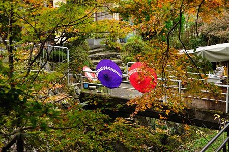 0911181244_DSC_1226