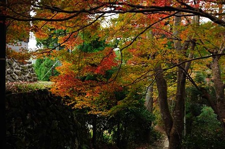 0911181615_DSC_1585
