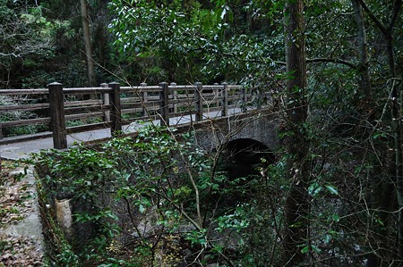 1001010744_DSC_4775