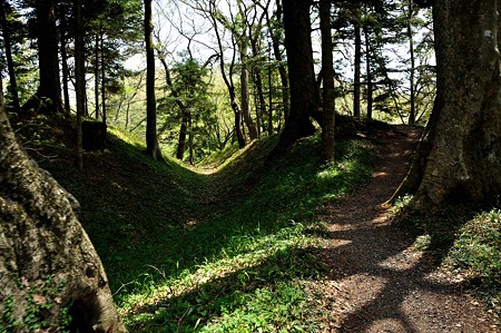 1005061049_DSC_6423