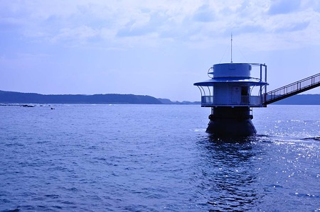 1009200950_DSC_2698