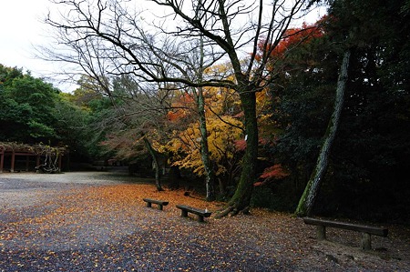 1011231047_DSC_4350