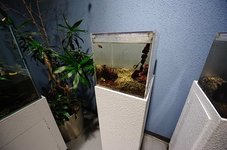 1011241354_DSC_5438