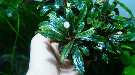DSCF5090