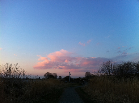 写真 4