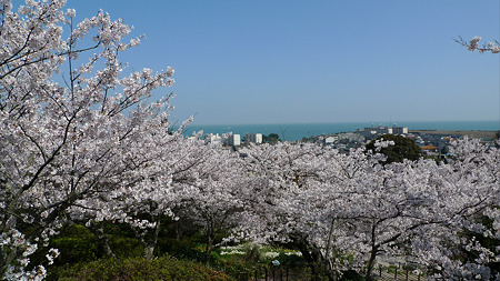 白野江植物公園(1)
