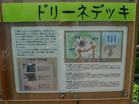 平尾台自然の郷(4)