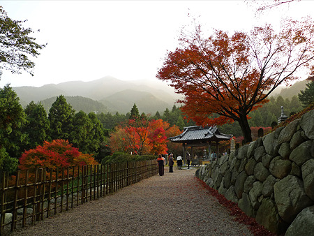 雷山千如寺大悲王院(26)