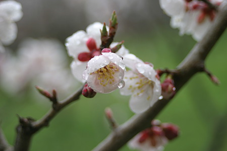 20110515_2