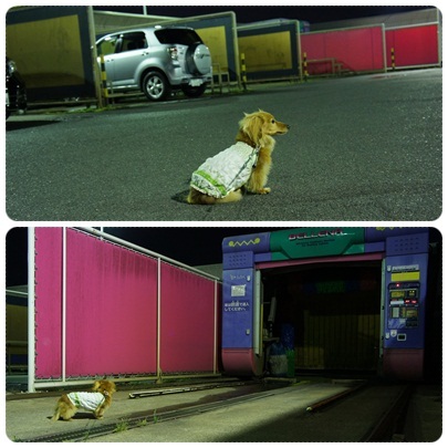 20120610 夜のお散歩