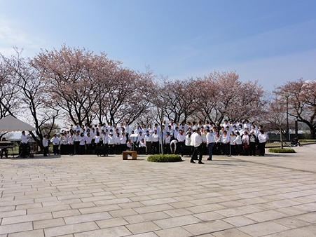 桜と合唱隊