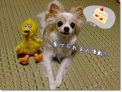 ケーキ