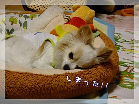 しまった!!