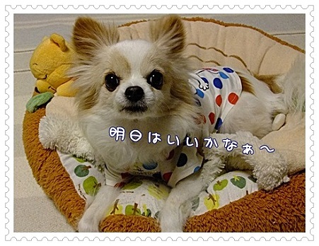 明日は
