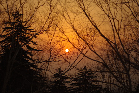 IMGP0338