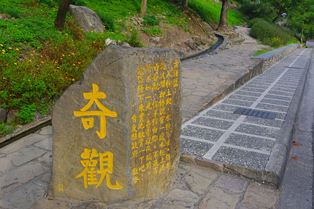 IMGP2465