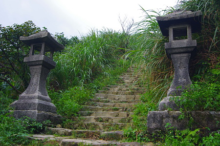 IMGP6559