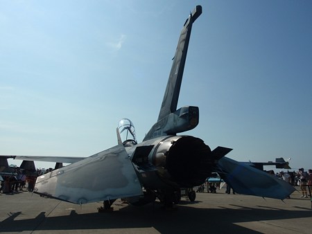 P8224850