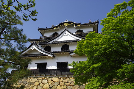彦根城天守 (16)