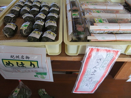 和歌山06:志原海岸・7