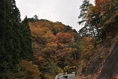 2010年・紅葉のR371-C