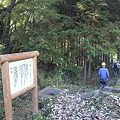 宇山洞への山道