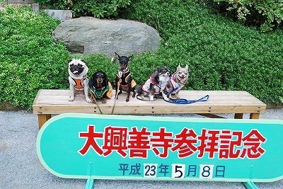 記念撮影