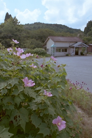秋の小湊鉄道2010 04