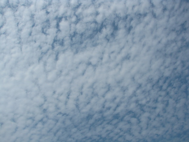 ヒツジ雲