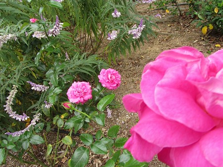 sIMG_1135