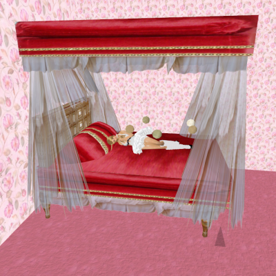 Snapshot_571