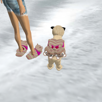 Snapshot_220