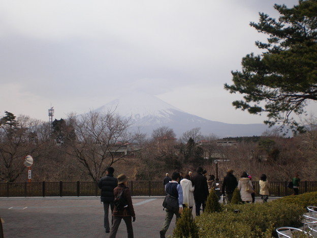 Photos: 富士山を見る